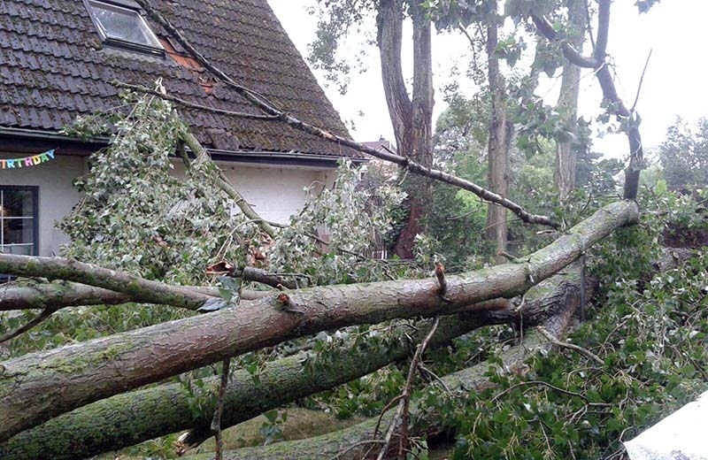 devries_boomverzoging_calamiteitenservice_stormschade